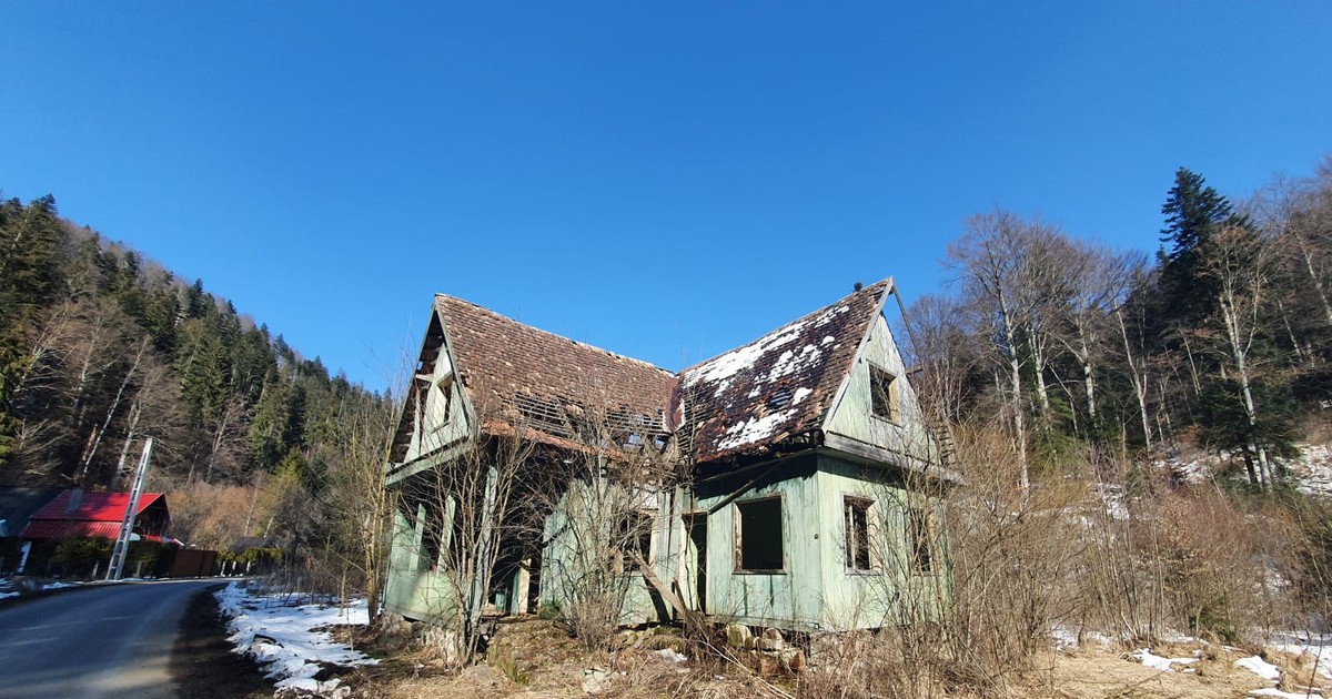 Arhiva foto