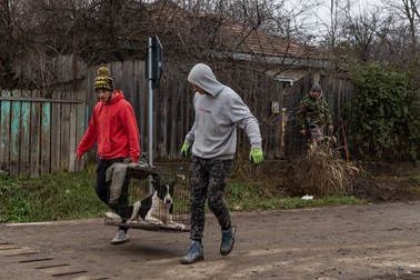 Băieţii lui Măru duc un câine către dubiţă