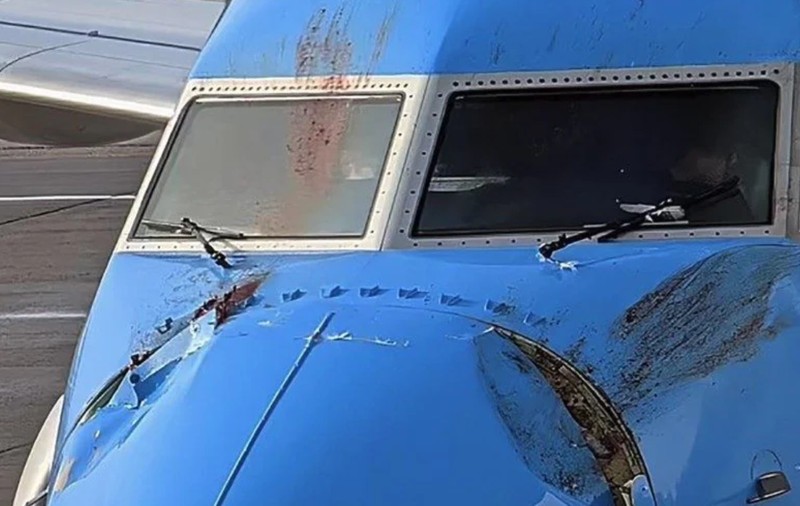 Un Boeing 737 a aterizat de urgență pe aeroportul Gatwick din Londra după ce a lovit două lebede