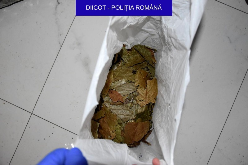 Arhiva foto