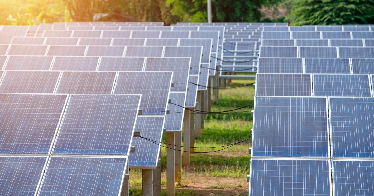 Panouri fotovoltaice instalate pe un câmp, unde se vede iarba verde, iar din stânga bate o rază de soare