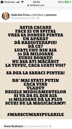 Postarea distribuită de Gabriela Firea pe contul său de Facebook