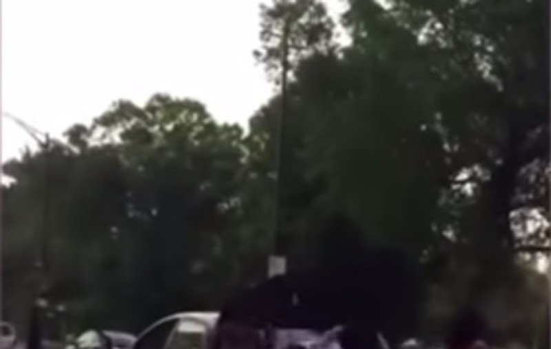VIDEO INCREDIBIL! Bărbat bătut de trei femei cu o bâtă de baseball și un scaun de mașină