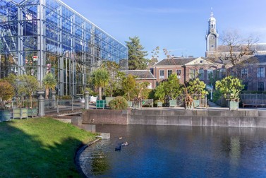 Locuri de vizitat în Amsterdam - Grădina Botanică
