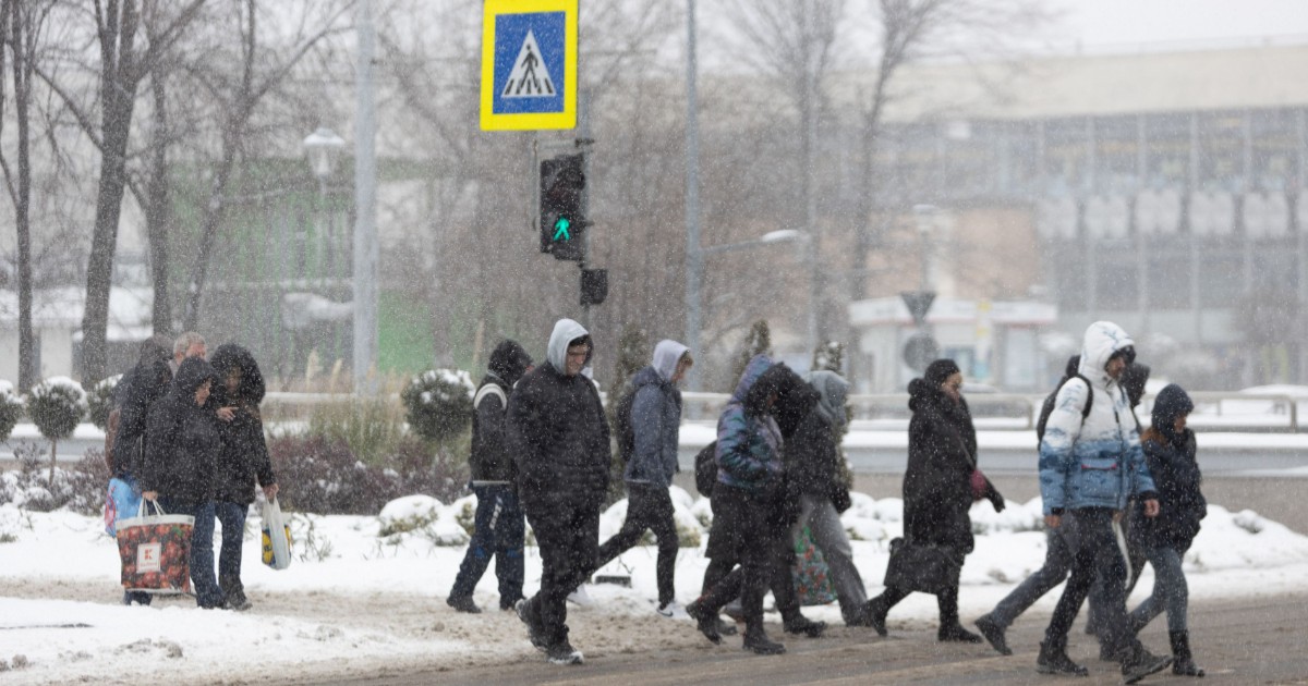 Pietoni care traversează pe trecere