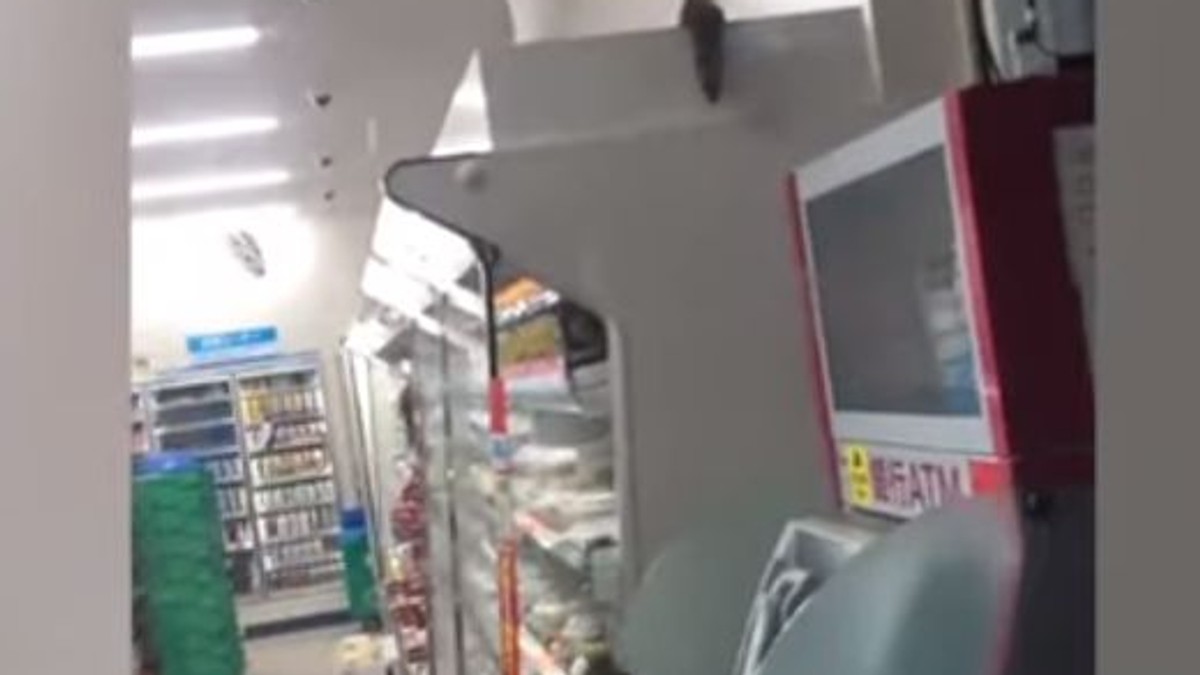 O înregistrare video cu un magazin din Japonia invadat de șobolani a devenit virală