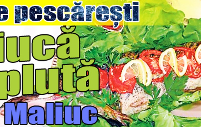 Pentru pescari -Reţete pescăreşti: ştiucă umplută ca la Maliuc