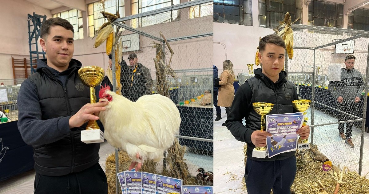 tanar cu un cocos alb in brate, la o expozitie de pasari din Bistrita, langa el, mai multe diplome