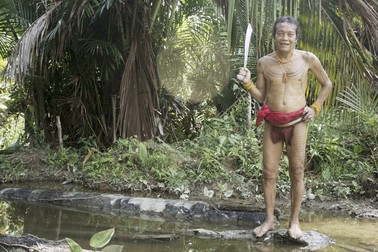Arhiva foto