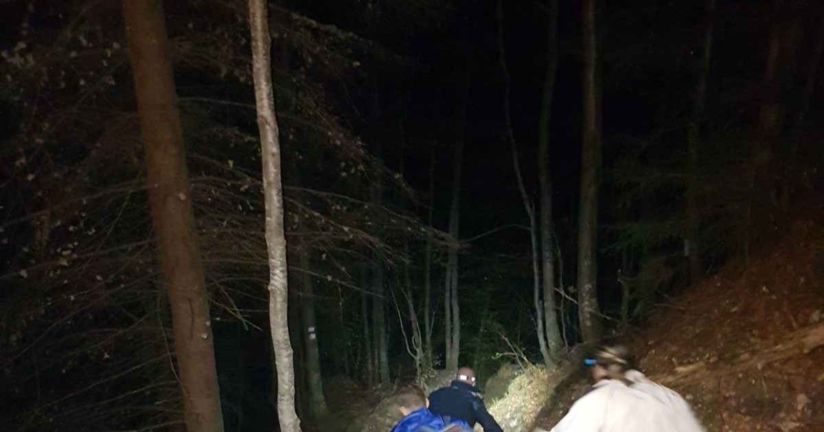 Doi turişti care s-au întâlnit cu un urs, în timpul nopţii de sâmbătă spre duminică, pe un traseu din munţii Bucegi s-au urcat, de frică, într-un brad, unde au aşteptat, timp de aproape o oră, să fie recuperaţi de jandarmii montani.