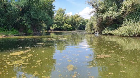 În carantină sau nu, Delta Dunării este neschimbată