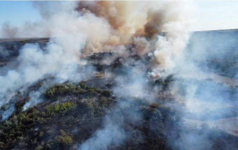 Aproape 80 de hectare de teren au ars în Buzău, după ce un incendiu de vegetație a scăpat de sub control. Focul a fost provocat | VIDEO