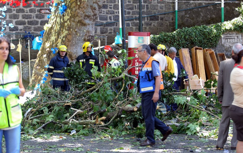 VIDEO | Tragedie în insula Madeira! 12 oameni au fost omorâți de un copac care a căzut peste ei