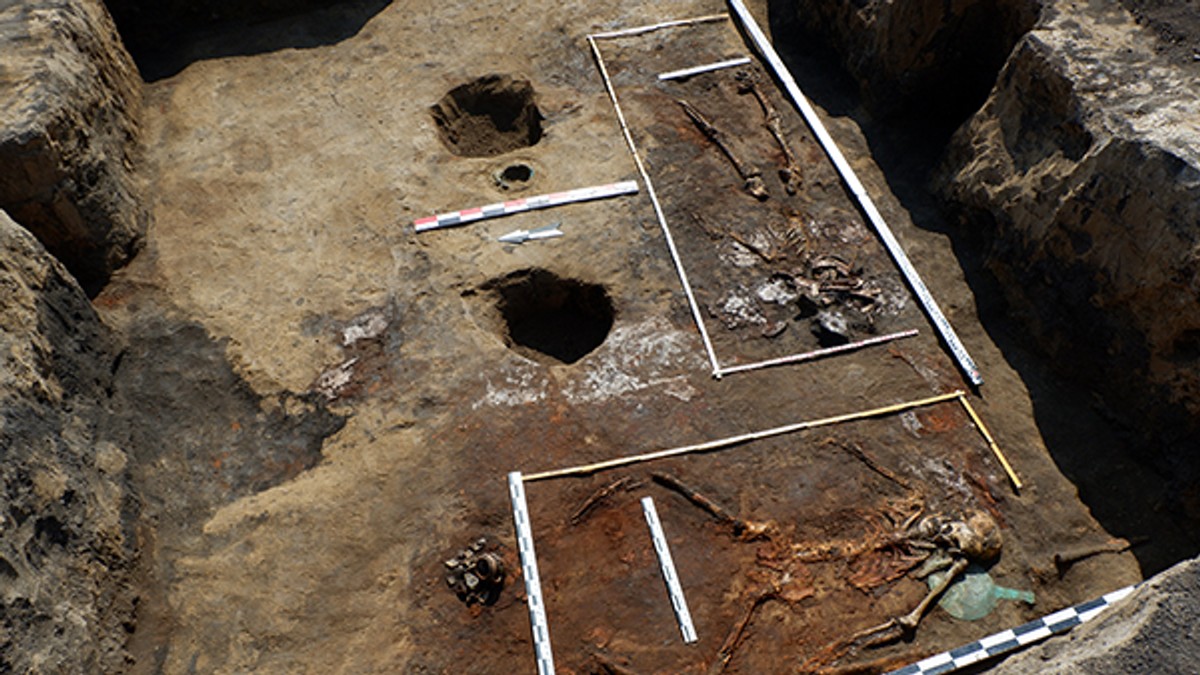 Descoperire arheologică unică în istorie (archaeolog.ru)