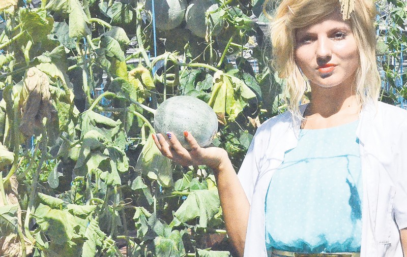 Guşti un coniac fără să te chercheleşti! Cercetătorii din Buzău cultivă un pepene care te ţine departe de pahar