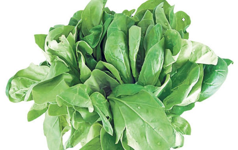 SALATA VERDE are efecte benefice pentru organism! Cum să o consumi ca să profiți la maxim