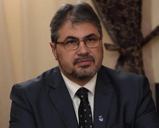 Dorin Dobrincu, istoric