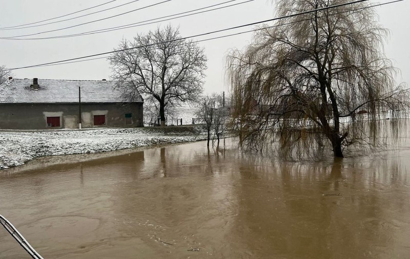 Inundații în Timiș. 65 de elevi și profesori, evacuați dintr-o școală aflată lângă râul Bega. VIDEO