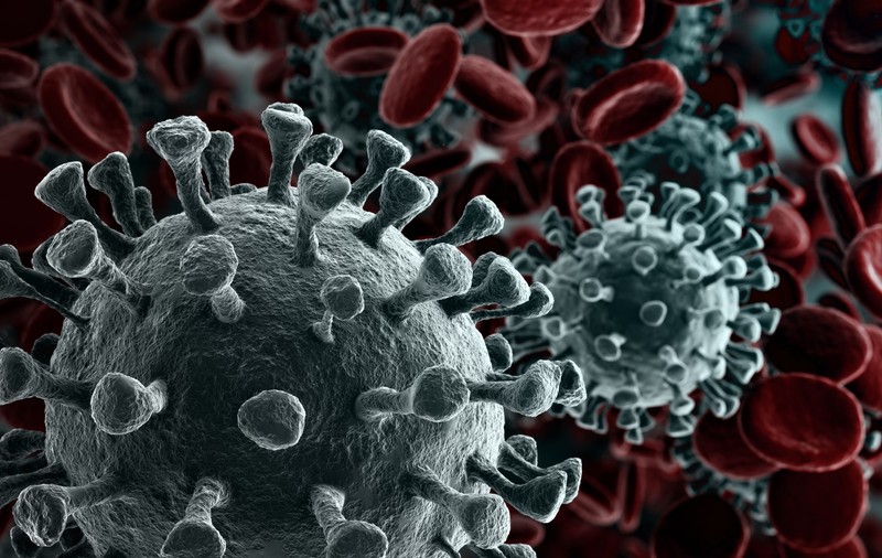 “Ne-am făcut-o singuri”. Un biolog renumit explică mecanismul care a dus la pandemia de COVID