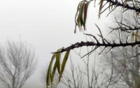 Cea mai rece dimineață de la începutul toamnei. Temperaturile au coborât până la -6 grade