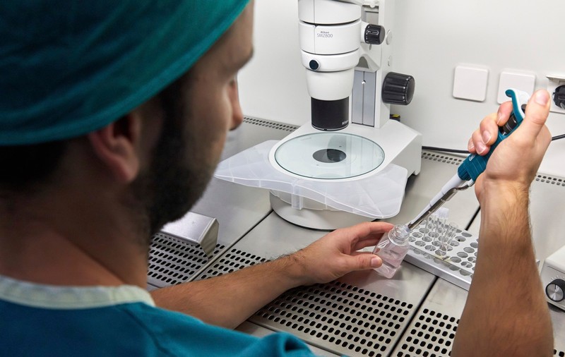 Ovule umane create din celule ale pielii ar putea oferi noi șanse pentru cupluri infertile