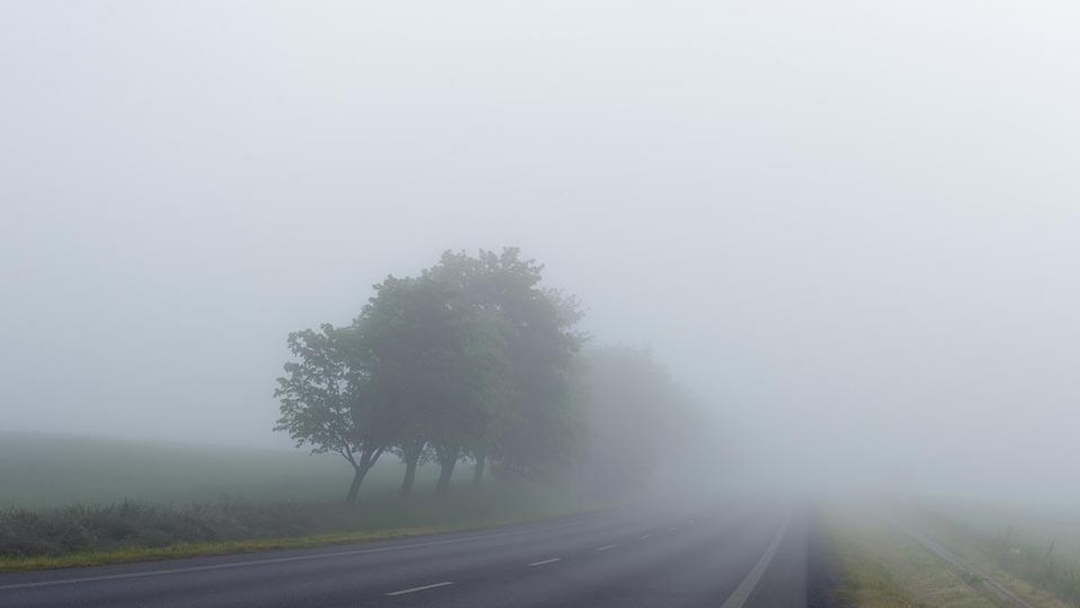 Cod galben de ceață în județe din sudul și estul țării. Ceață pe A1, A2 și A3