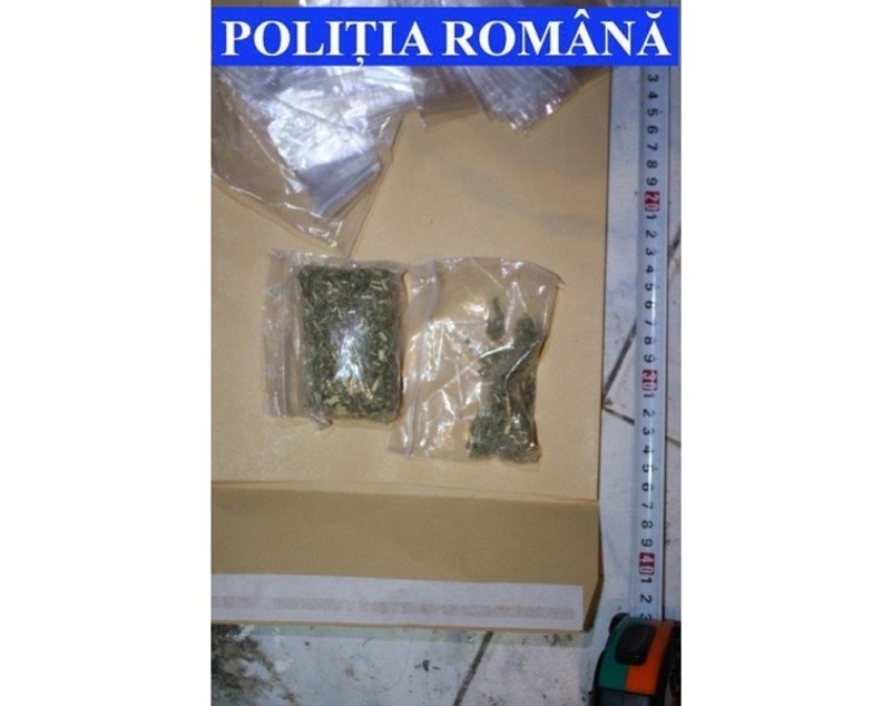 Zeci de polițiști și mascați au descins într-un bloc de interlopi din Focșani pentru destructurarea unei rețele de traficanți de droguri