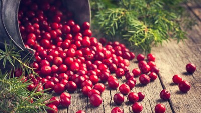 Merisoare- beneficii-retete