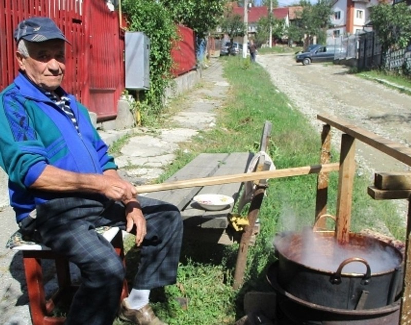 O să fie țuică din belșug. Livezile sunt pline de prune