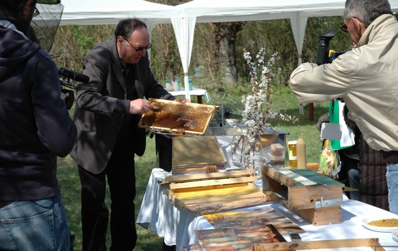 Cel mai mare târg de miere din România are loc după Paşti