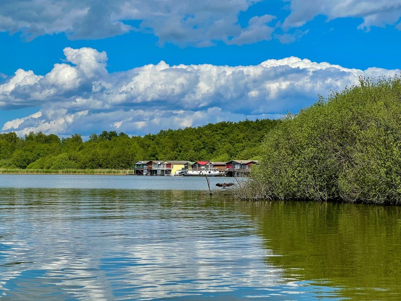 Arhiva foto