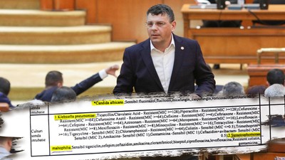 2Colaj Sebastian Radu ID105246_INQUAM_Photos_Octav_Ganea(1)