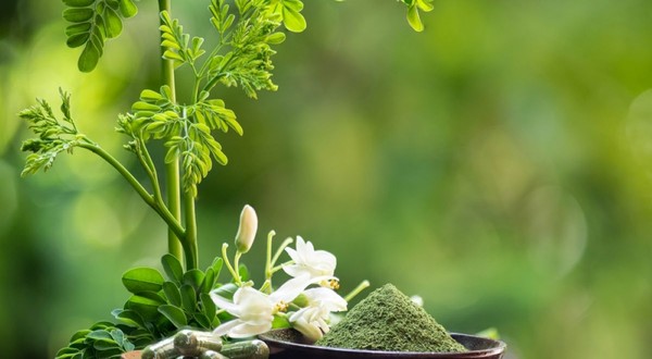 Ce este moringa - beneficii și contraindicații