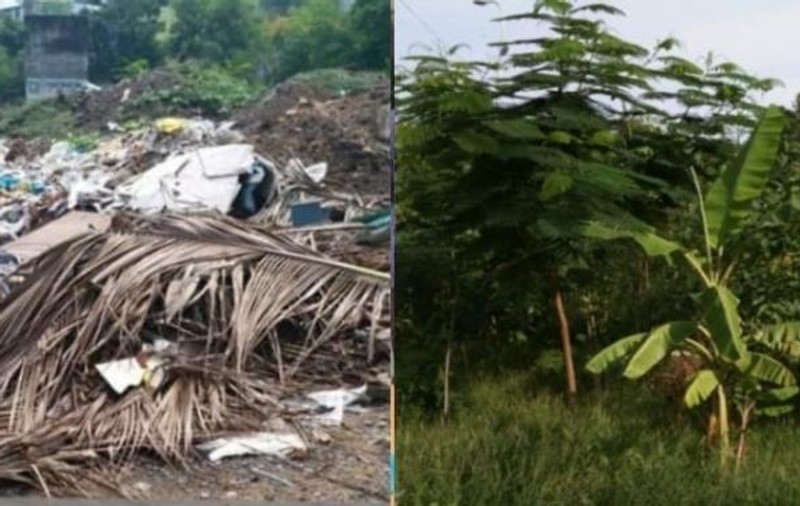 Metoda ingenioasă prin care indienii au transformat un teren plin de gunoaie într-o pădure luxuriantă