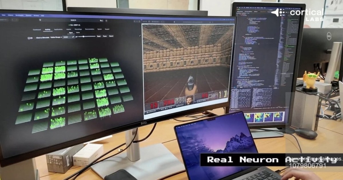 Un „creier” creat în laborator a învățat să joace Doom.