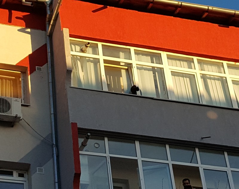 Desfăşurare impresionantă de forţe pentru salvarea unei pisici! GALERIE FOTO&VIDEO