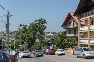 În Cajvana s-au vaccinat mai puțin de 2% din locuitori