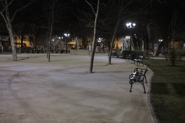 Copacii din Parcul Grădina Icoanei au fost îngropați într-un strat de dur de material. Foto: Vlad Chirea