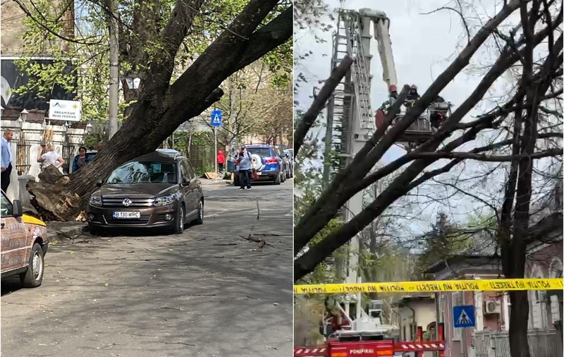 Bucureștiul, sub cod portocaliu de vânt: copaci doborâți pe mașini de rafalele puternice. Imagini cu urmările