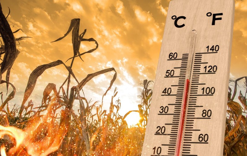 Meteorologii au lansat toate codurile posibile: roșu, portocaliu și galben. Temperaturile vor depăși 40 de grade Celsius