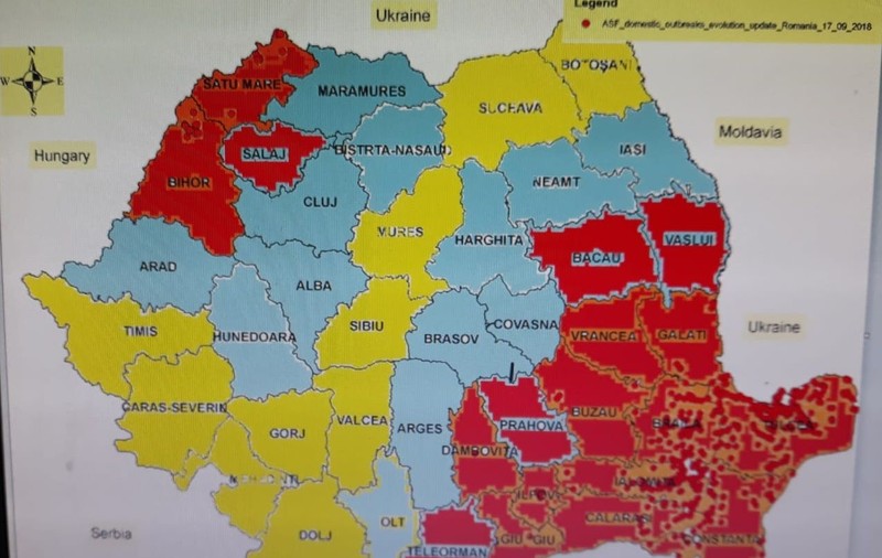 România, în pericol să nu mai exporte carne de porc după auditul CE început azi! Noua hartă a focarelor de pestă porcină din țară
