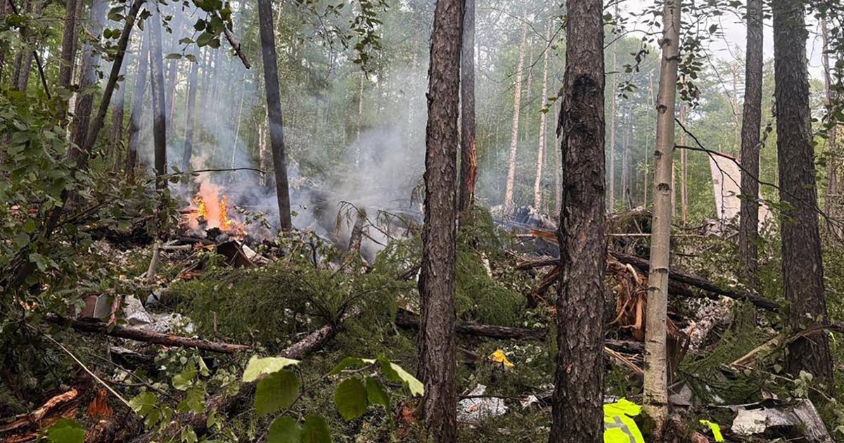 Resturi printre copaci ale avionului care s-a prăbușit în regiunea Amur Foto: Profimedia