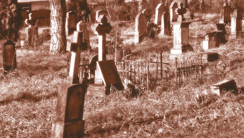 Arhiva foto