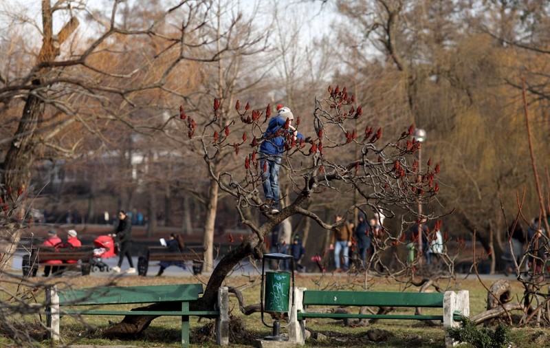 Prognoza meteo pentru perioada 4-17 februarie. Cum va fi vremea în următoarele două săptămâni