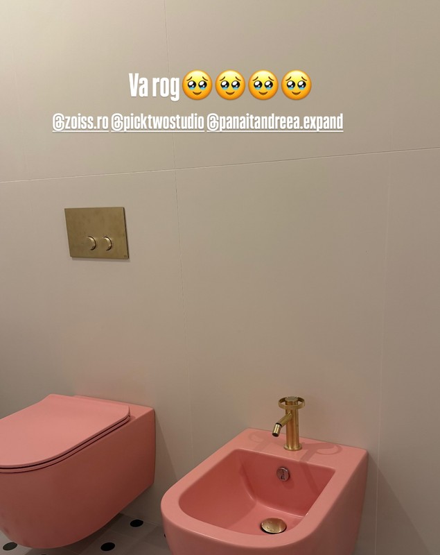 Imagini din noua casă a lui Nicole Cherry: „Într-o lună suntem mutați”. A ales obiecte sanitare roz