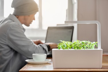 Ghivecele inteligente pot fi cu autoiluminare