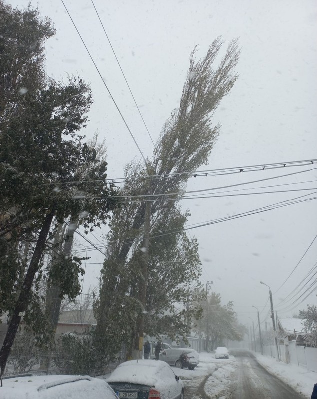 Viscolul și ninsorile au provocat haos în mai multe județe. Sute de localități fără curent, în timp ce orașul Constanța a rămas fără apă potabilă timp de cinci ore