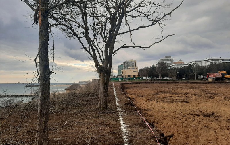 2,5 hectare din Pădurea Comorova din stațiunea Olimp vor fi defrișate pentru a face loc unui complex imobiliar