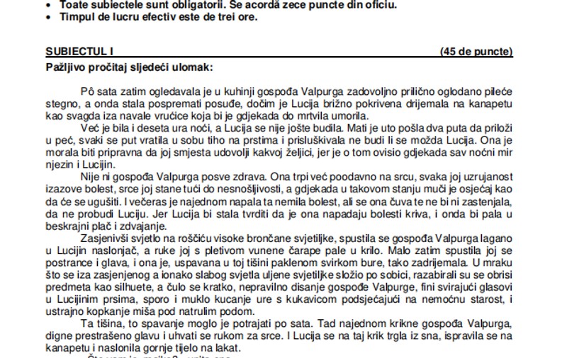 Ce subiecte au avut de rezolvat elevii la proba la Limba maternă la BAC 2026, sesiunea de toamnă