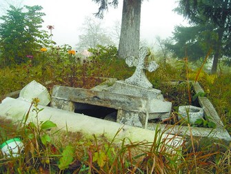 Arhiva foto